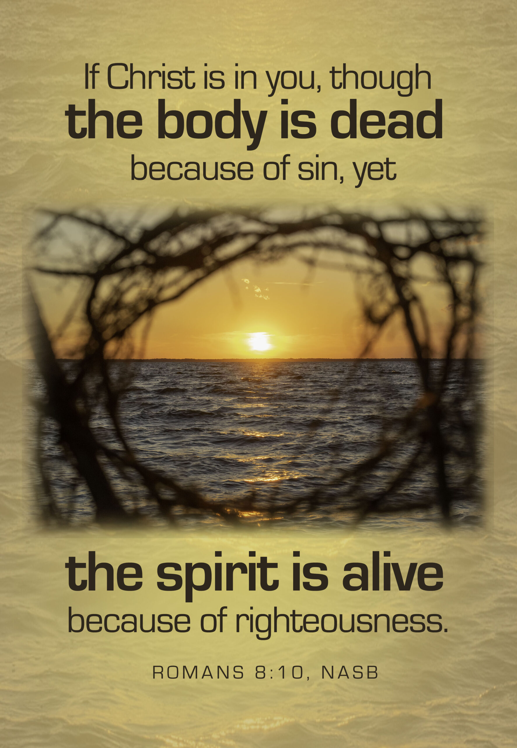 Sunday, July 12, 2026; 8th Sunday of Pentecost